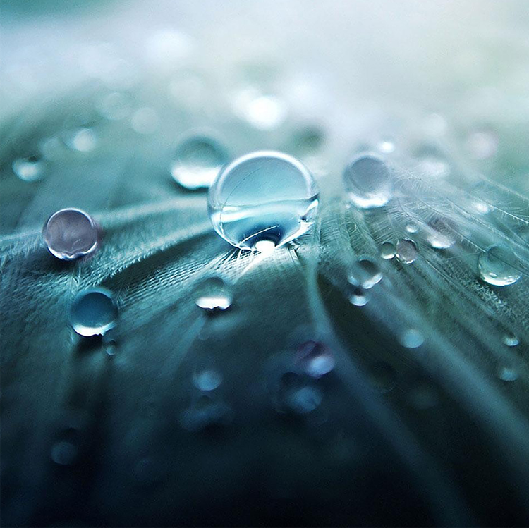 Lorem ipsum dolor sit amet