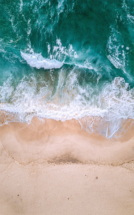 Bacon ipsum dolor amet leberkas doner turducken